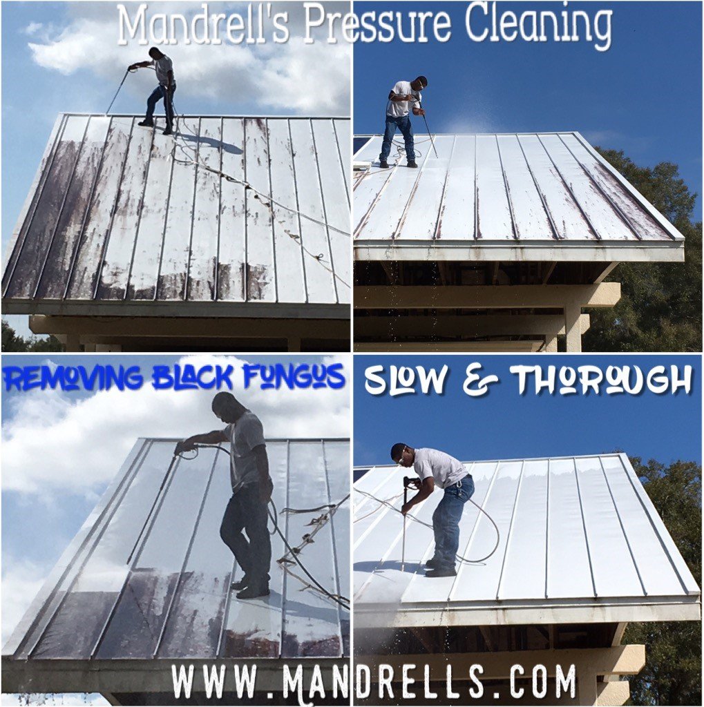 Shane Mandrell on a metal roof, soft-washing